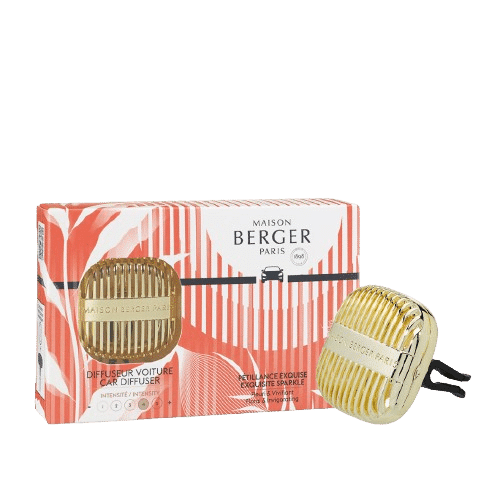 Perfuma y evita que se formen olores en el interior del vehículo con el ambientador de coche Cannelo con el aroma Pétillance Exquise